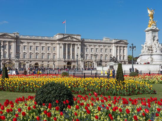 初日におすすめ！ロンドン半日観光ツアー　バッキンガム宮殿衛兵の行進を見学＜日本語／午前／即予約確定枠あり＞by Mybus