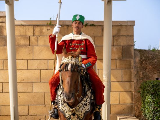 ラバト日帰りツアー　ウダイヤのカスバ＋王家の霊廟などを訪問＜貸切／英語ガイド／フェズ発＞