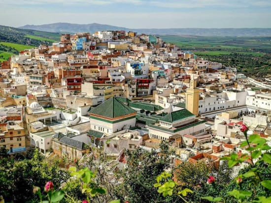 2. Meknes & Volubilis day trip from Fes (5)