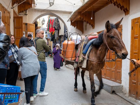1. Fes walk and talk Medina tour (4)