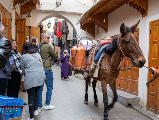 フェズ旧市街観光ツアー　歴史と文化が息づく世界遺産の街へ！半日 or 終日プランあり＜貸切／英語ガイド／フェズ発＞