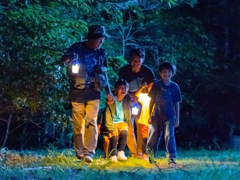 やんばるの森探検ツアー 1日1組限定！公園内の生物を調査するナイトツアー＜国頭村森林公園＞ | 沖縄本島の観光・オプショナルツアー専門  VELTRA(ベルトラ)