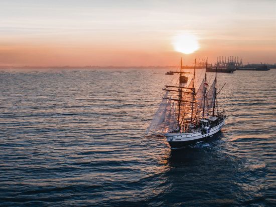 【2026年2月13～15日限定バレンタインプランあり】ロイヤルアルバトロス号 サンセットディナークルーズ 　豪華帆船での特別なひととき＜夕食付＞