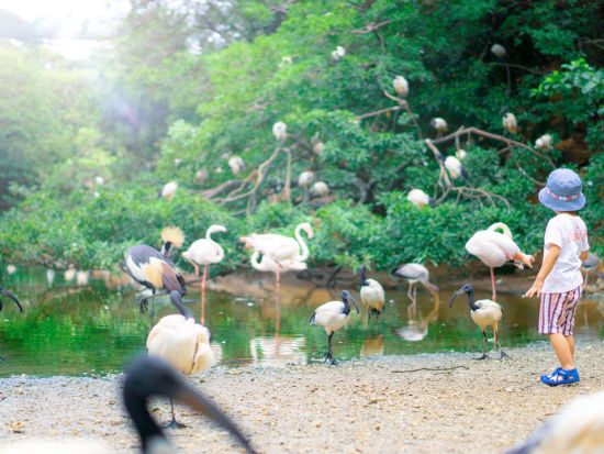 ネオパークオキナワ チケット予約・前売り券