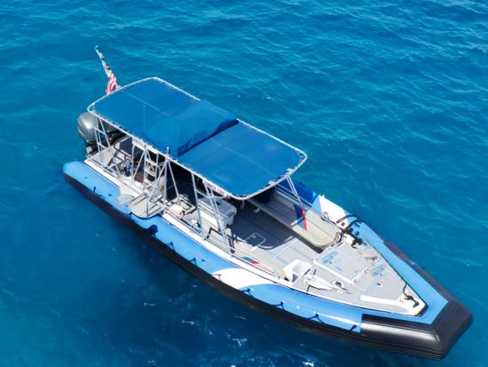 マウイ島ドルフィンウオッチングクルーズ　軽食＆ソフトドリンク付き！＜2時間／5～11月／英語ガイド＞