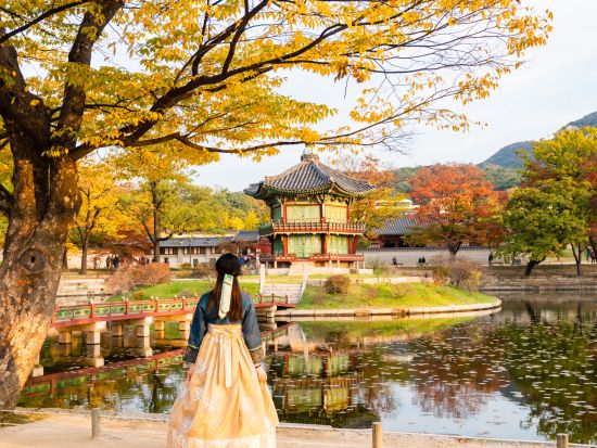 ソウル市内観光ツアー　景福宮（キョンボックン）＆三清洞　韓服を着て散策を楽しむ！ 韓国料理ランチ込み＜午前／日本語ガイド＞