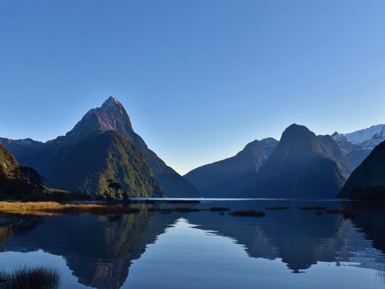 世界遺産フィヨルドランド国立公園 ミルフォードサウンド クルーズ＜貸切／8名まで／日本語ガイド／日帰りor1泊2日／クイーンズタウンorテアナウ発着＞