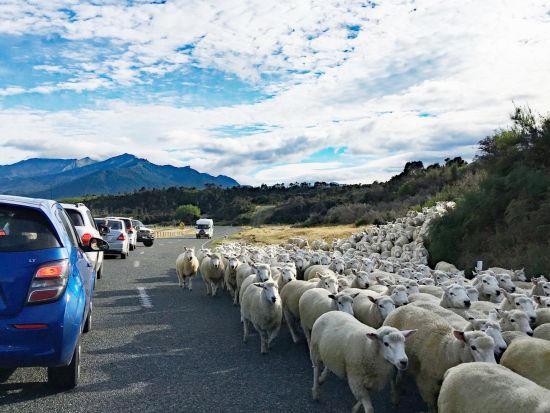 世界遺産フィヨルドランド国立公園 ミルフォードサウンド クルーズ＜貸切／8名まで／日本語ガイド／日帰りor1泊2日／クイーンズタウンorテアナウ発着＞