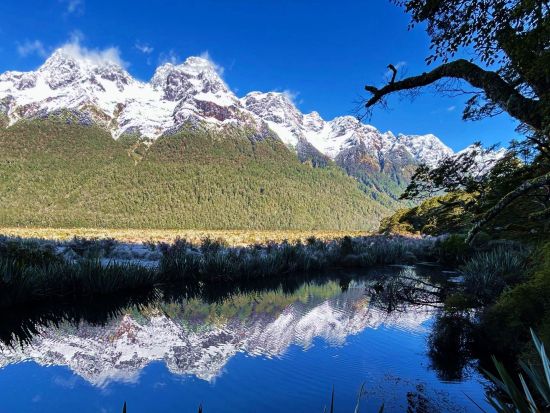 世界遺産フィヨルドランド国立公園 ミルフォードサウンド クルーズ＜貸切／8名まで／日本語ガイド／日帰りor1泊2日／クイーンズタウンorテアナウ発着＞