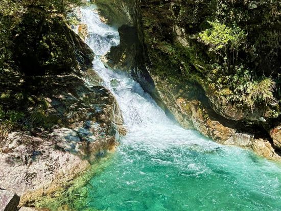 世界遺産フィヨルドランド国立公園 ミルフォードサウンド クルーズ＜貸切／8名まで／日本語ガイド／日帰りor1泊2日／クイーンズタウンorテアナウ発着＞