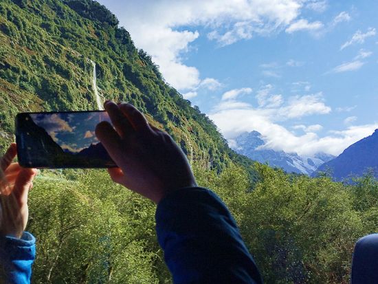 mlf05