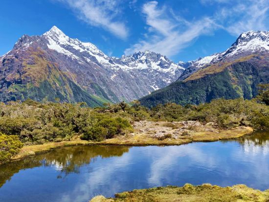 世界遺産ミルフォードサウンドクルーズ＆フィヨルドランド国立公園ハイキング1泊2日ツアー＜10～5月／貸切／8名まで／日本語／クイーンズタウンorテアナウ発着＞