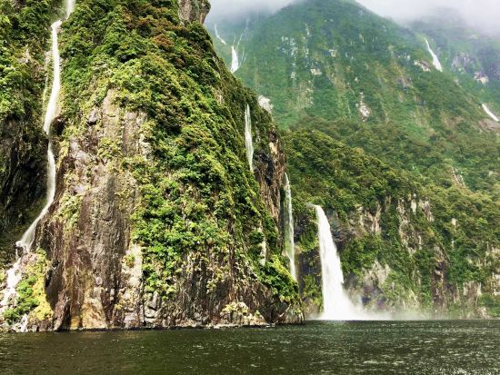 世界遺産ミルフォードサウンドクルーズ＆フィヨルドランド国立公園ハイキング1泊2日ツアー＜10～5月／貸切／8名まで／日本語／クイーンズタウンorテアナウ発着＞