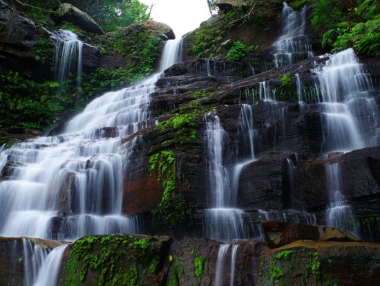 ジャングルシャワートレッキングツアー ゲータ川で滝遊び マイナスイオンたっぷりのジャングルでトレッキングを満喫 ＜2.5時間／西部地区ホテル無料送迎／西表島＞