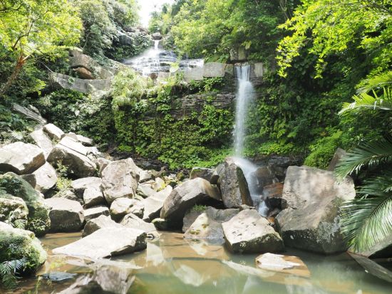 ジャングルシャワートレッキングツアー ゲータ川で滝遊び マイナスイオンたっぷりのジャングルでトレッキングを満喫 ＜2.5時間／西部地区ホテル無料送迎／西表島＞