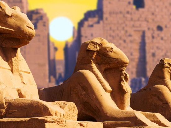 【貸切】バナナ島オプションもおすすめ◎飛行機で行くルクソール日帰り観光　現地日本語アシスタント同行オプションあり　＜終日／英語／送迎付／カイロ発＞