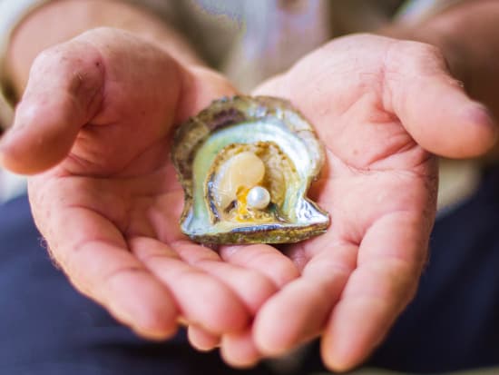 ブロークンベイ パールファーム（BROKEN BAY PEARL FARM）半日ツアー　真珠養殖場で珠出しやリバークルーズ、牡蠣の試食などを満喫！＜シドニー＞