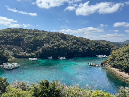 上五島カクレキリシタンの歴史解説ツアー＆椿オイルを使用したアロマ作りまたは保湿バーム作り体験　＜プチギフト付き／2時間15分／新上五島町＞ by 深浦工房