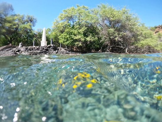 野生のイルカウオッチング＆ケアラケクア湾シュノーケリングクルーズ byイルカ大学＜ランチ付き／英語ガイド（日本語ガイド乗船日あり）＞