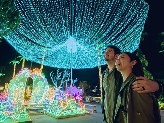 ウェルカムイルミ