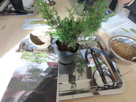 盆栽体験の材料一式を用意