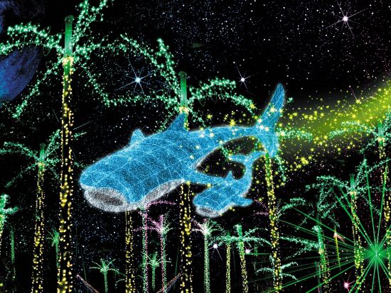 前売りチケットがお得！美らヤシパークオキナワ・東南植物楽園 南国の自然や動物に触れ合える! ＜沖縄市＞