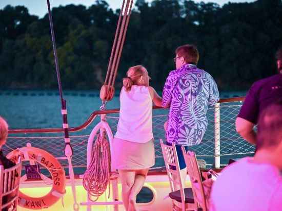 ロイヤルアルバトロス号シティライト・ディナークルーズ　シンガポールの夜景と贅沢なディナー＜選べる夕食なしor4コースorビュッフェ＞