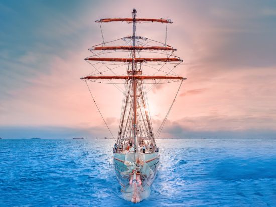 ロイヤルアルバトロス号 モーニングクルーズ　朝の海風を感じながら朝食ビュッフェ＜朝食付き＞