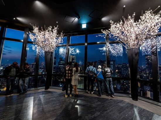 セット券 スカイライナー往復乗車券 & Tokyo Subway Ticket （24/48/72時間券）& 東京タワーメインデッキ（150ｍ）入場券