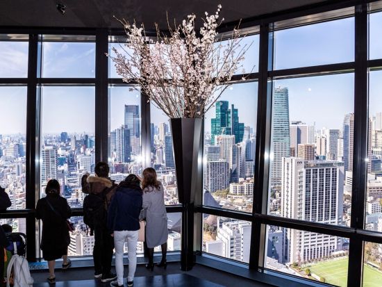 セット券 スカイライナー往復乗車券 & Tokyo Subway Ticket （24/48/72時間券）& 東京タワーメインデッキ（150ｍ）入場券