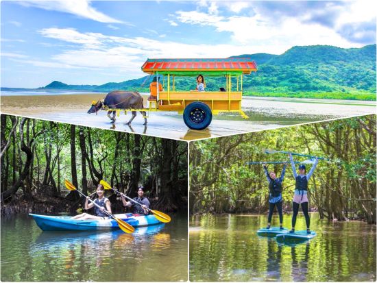 マングローブSUP orカヌーorバラス島シュノーケリング＋由布島観光　選べるアクティビティ＜上原港または上原地区ホテル無料送迎／西表島＞