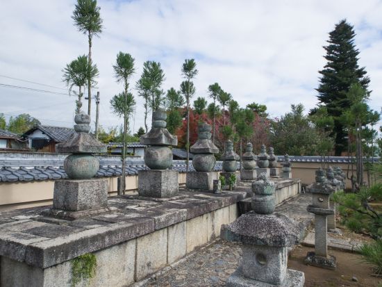 大徳寺総見院 特別公開 織田信長公の菩提寺へ（2026/3/28～5/6の土・日・祝日のみ）＜京都市北区紫野大徳寺町＞