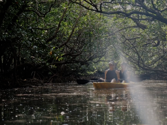 地球再生型ツアー パーマカルチャーデザイナーと巡る！ 山・川・海を巡る冒険の旅へ行こう！＜昼食付／石垣島・平久保半島／宿泊プランあり＞