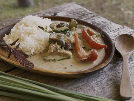 地球再生型ツアー パーマカルチャーデザイナーと巡る！ 山・川・海を巡る冒険の旅へ行こう！＜昼食付／石垣島・平久保半島／宿泊プランあり＞