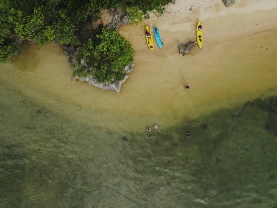 スクリーンショット 2024-11-20 17.34.29