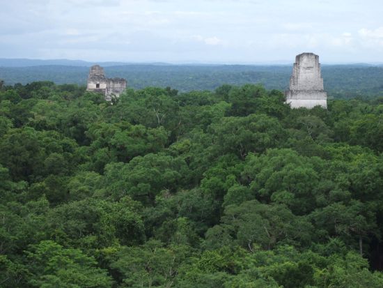 世界遺産ティカル遺跡 日帰りツアー＜昼食付／英語ガイド／アンティグア発またはグアテマラシティ発＞
