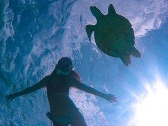 11000003778806_8FgESkKo_4