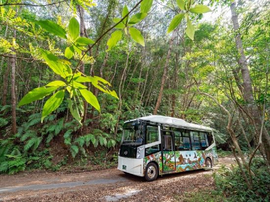 【午前／オクマ発（宿泊者限定）】EVバス「やんばる黄金（くがに）号」で巡るエコツアー！やんばるの森をネイチャーガイド付きでご案内＜約2時間30分／4歳～／北部＞
