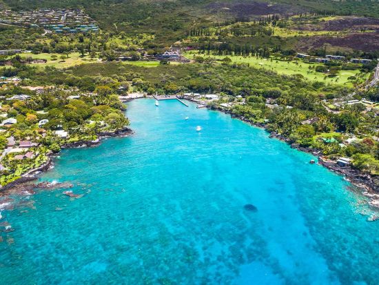 ホエールウォッチングクルーズ　クジラを探してコナの美しい海岸線をクルージング！ソフトドリンク付き ＜12～3月／午前・午後／英語ガイド＞