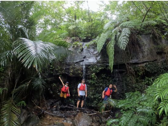 【貸切】西表島ナーラの滝ツアー マングローブカヤック&トレッキング&滝行・飛び込み体験！充実の贅沢プラン◎＜約7時間30分／昼食付／送迎可／写真プレゼント＞