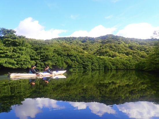 【貸切】西表島ナーラの滝ツアー マングローブカヤック&トレッキング&滝行・飛び込み体験！充実の贅沢プラン◎＜約7時間30分／昼食付／送迎可／写真プレゼント＞