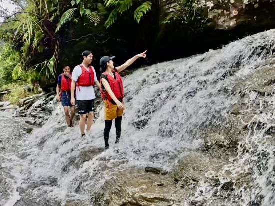 【貸切】西表島ナーラの滝ツアー マングローブカヤック&トレッキング&滝行・飛び込み体験！充実の贅沢プラン◎＜約7時間30分／昼食付／送迎可／写真プレゼント＞