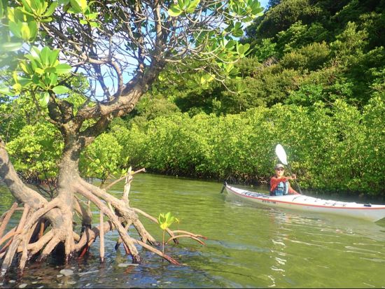 【貸切】西表島ナーラの滝ツアー マングローブカヤック&トレッキング&滝行・飛び込み体験！充実の贅沢プラン◎＜約7時間30分／昼食付／送迎可／写真プレゼント＞