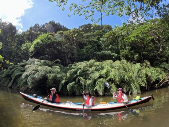 【貸切】西表島アダナデの滝ツアー マングローブカヤック＆キャニオニング&滝行・飛び込み体験！＜約7時間／昼食付／1～7名／送迎可／写真プレゼント＞