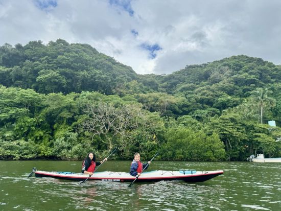 【貸切】西表島半日マングローブカヤック 初心者でも安心のコース◎静かな水路を進む癒しのひとときを＜半日／1～7名／送迎可／写真プレゼント＞