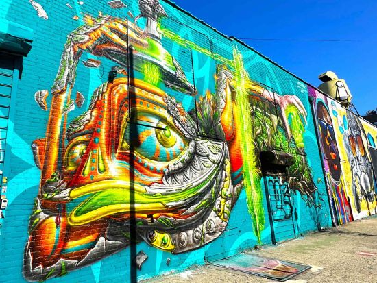 ブルックリン ウォーキングツアー　本場のストリートカルチャーに触れる＜3時間／日本語ガイド＞