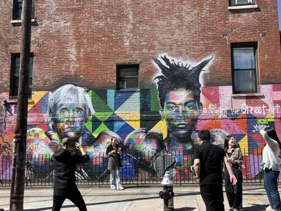 ブルックリン ウォーキングツアー　本場のストリートカルチャーに触れる＜3時間／日本語ガイド＞