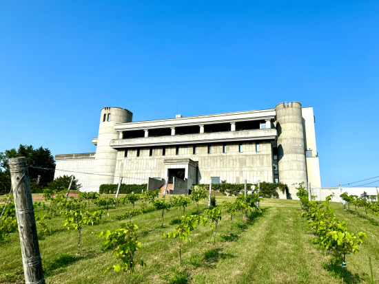 日帰りタクシープラン 池田ワイン城＋十勝まきばの家ワイナリー お酒×十勝の観光資源をかけ合わせたプラン＜3時間／十勝川温泉or帯広市内 発着＞by北斗タクシー