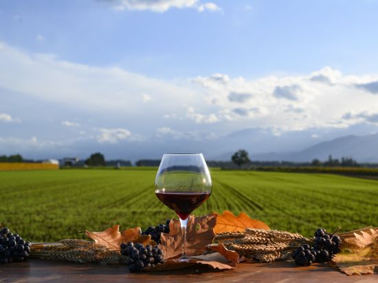 日帰りタクシープラン お酒を飲みながら自由に十勝観光ができる！お酒×十勝の観光資源をかけ合わせたプラン＜3時間／十勝川温泉or帯広市内 発着＞by北斗タクシー