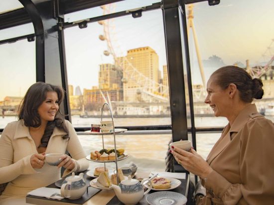 テムズ川 アフタヌーンティークルーズ ＜現地集合・解散＞by シティクルーズ